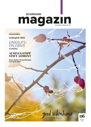 /assets/images/7/schaerding_innovativ_magazin_06-a8564867.jpg