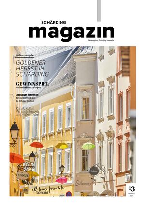 /assets/images/d/schaerding-innovativ-magazin13-tqggqjxqhhmx2zr.jpg