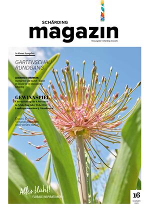 /assets/images/m/schaerding_innovativ_magazin_16-titel-vv8fjxdrq41eps8.jpg